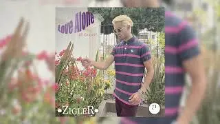 &bull;ZigleR&bull; - Love Alone