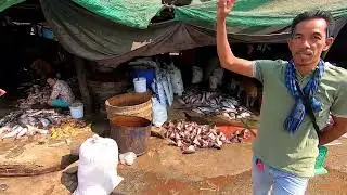 Small fish processing factory - Cambodia, Battamabang