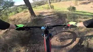 Mt Annan Garden Trail Highlights