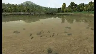 Be the Dinosaur exhibit - a quick look at the Hadrosaurs