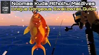 Fishing Planet Noomaa Kuda Atholhu Maldives, Unique Gorgeous Swallowtail Guide
