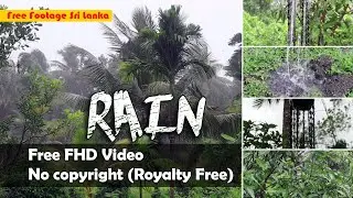 Free Rain | Sri Lanka | Free FHD Video - no copyright (Royalty Free)