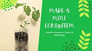 Mini Ecosystem Craft with the Hamilton Museum of Steam & Technology