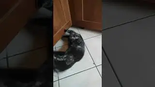 #drivingfails