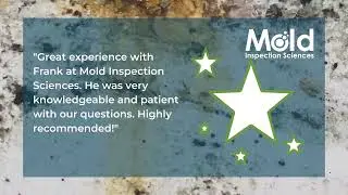 What to Expect During a Professional Mold Inspection