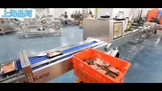 Automatic MAP Packing line + Vision Inspection+ labal printer+ Metal detector