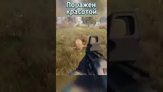 ПОРАЖЕН КРАСОТОЙ