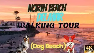 San Diego | North Beach (aka Dog's Beach) in Del Mar  [4K UHD]