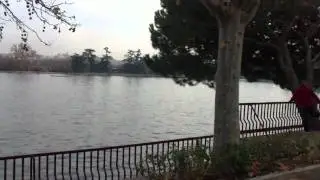 Lago, Madrid- Espa&ntilde;a