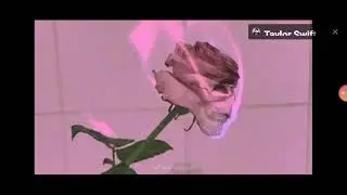 ROSA PASTEL