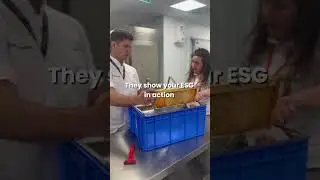 🐝Why bees make the best colleagues?
