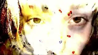 fly girl song | from BUG MURDERS