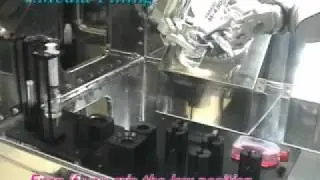 Dual Arm Robot