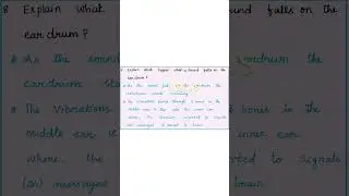 The nervous System #nervoussystem #cbseclass5 |# science New Science AHead