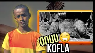 oduu addaa!! 😎🔥