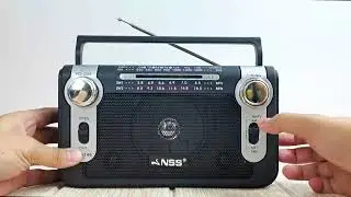 NS-146
