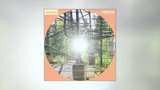 Semmosta - Beehive