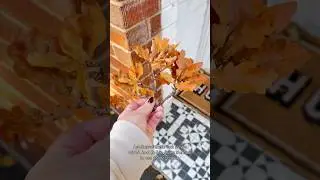 An extremely easy Autumn craft idea, using a &pound;2 frame from B&M and leaves from our Oak Tree 🍂