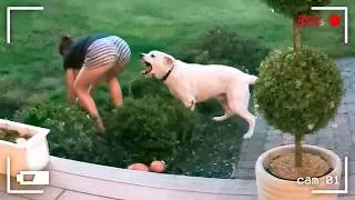 Best Fails of the Month 😂 Try Not to Laugh Challenge
