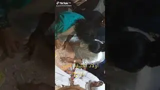 زاوية الشريف مصطفى ولد عايشة الركراكية رضوان الجلولي والمجموعة0634323345