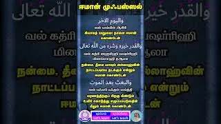 முஃபஸ்ஸல்