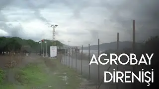 Agrobay Direnişi
