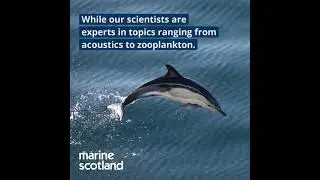 marine scotland science