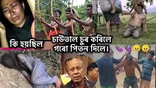 adibasi goru sur gahori sur korise full update saital vs boro / assamese news today