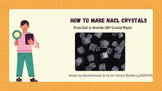 From Salt to Sparkle: The Science Behind Growing NaCl Crystals