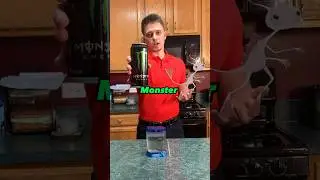 What Happens When You Feed You SeaMonkeys Monster Energy (Pre-workout results)