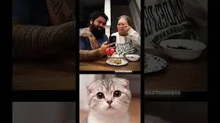 Fake laugh 😹😹😹