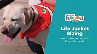 How To Size and Fit Your Outward Hound Dog Life Jacket