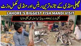 Fish Mandi Lahore Full Tour | Latest Fish Rates in Lahore | Complete Fish Market Vlog
