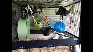 Cage Layout: Savic Royal Suite (Top Half)