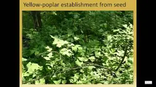 Playing with Fire: Managing Oak Ecosystems