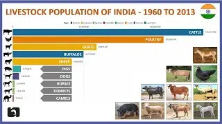 Livestock Population of India - 1960 to 2013 🇮🇳