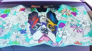 Best Car Windshield Sun Shades