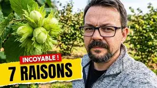 Voilà POURQUOI vous devez PLANTER des NOISETIERS !