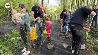 Negen nieuwe bomen in het geboortebos in Westergeast