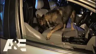 Live PD: Badass Car (Season 2) | A&E