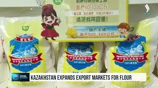 Казахстан расширяет рынки экспорта муки