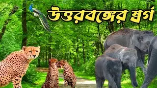 A Guide to Khuttimari - A Tourist Paradise in North Bengal||@jajabarbapi