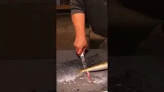 Skinless boneless technique for flathead #fishing #fish