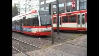 Cologne 2004