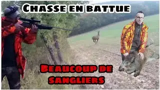 Battue aux sangliers et cervid&eacute;s - Tir d'un sanglier - 2018 2019 - #1