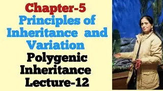 Class 12th /CH-5 /Lecture-12/ Polygenic Inheritance (Quantitative Inheritance)