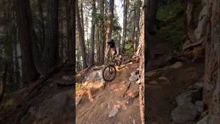 JAKI ROZMIAR KOŁA W ROWERZE WYBRAĆ? #mtb #rower