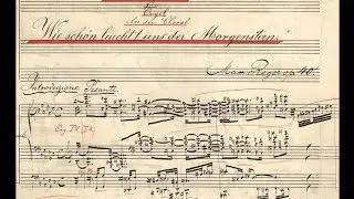 Franz Muheim spielt Max Regers Choralphantasie 