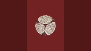 &iexcl;فاطمة شلحة Fatima Chalha est&aacute; emitiendo en directo!