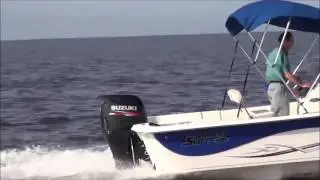 Suzuki 115hp 4T (DF115ATL)